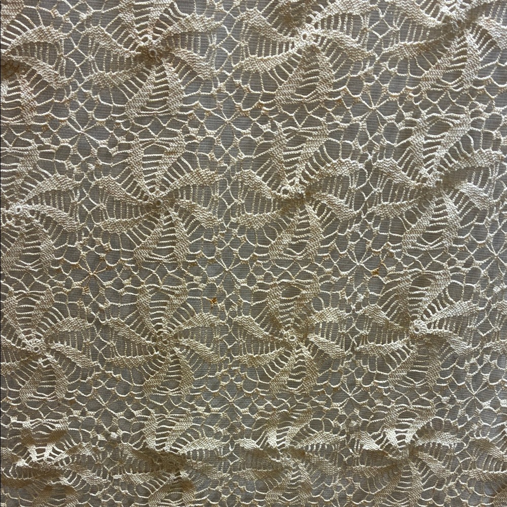 Vintage Elegant Cream Lace Table Cloth or single Bed Cover